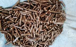 鋸末顆粒機的生物質(zhì)顆粒除了代替原煤，還能用在這！