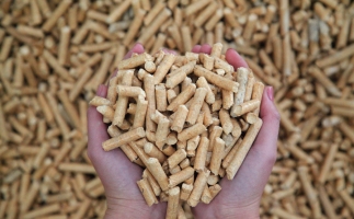 夏季儲存鋸末顆粒機生物質(zhì)顆粒的方法，要認真看喲